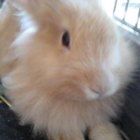 /album/mogyoro/a560873-267780643338471-358603948-n-jpg/